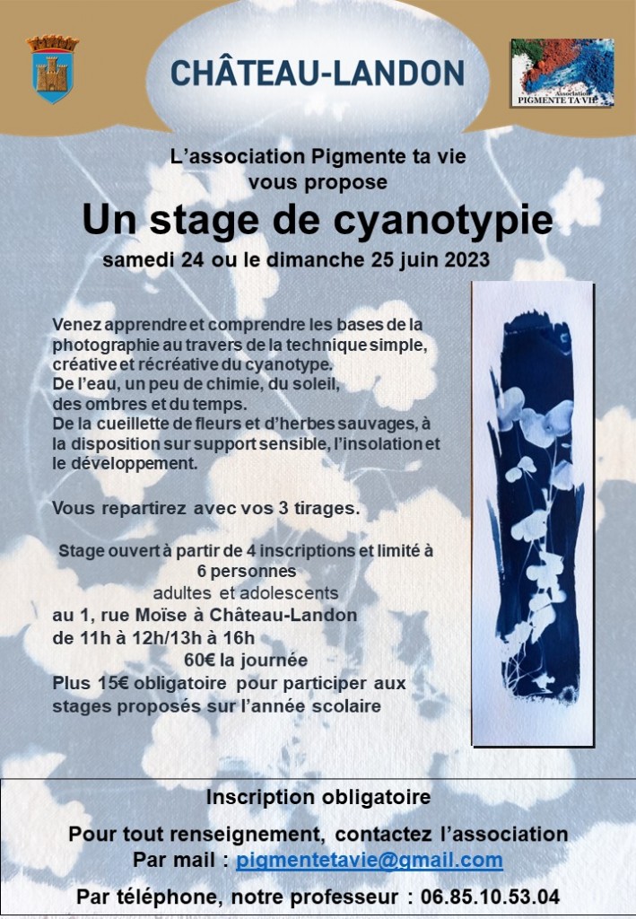 2023 07 03 Flyer Stage Cyanotype